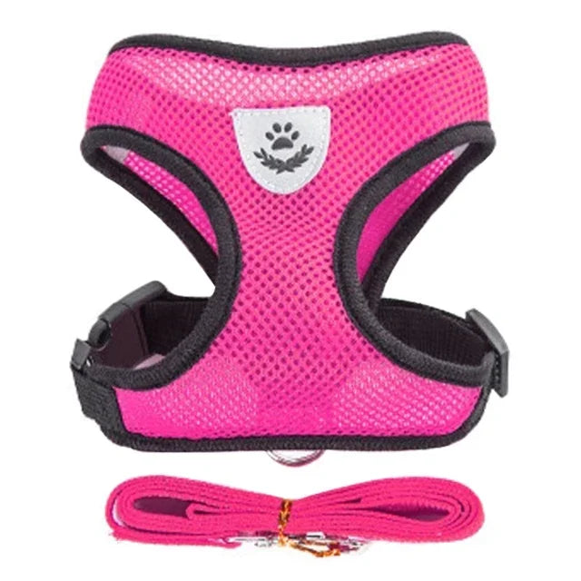 Pet Harness Adjustable Vest Walking Traction Rope Set for Dog Collar Breathable Mesh Harness for Small Medium Cat Collar