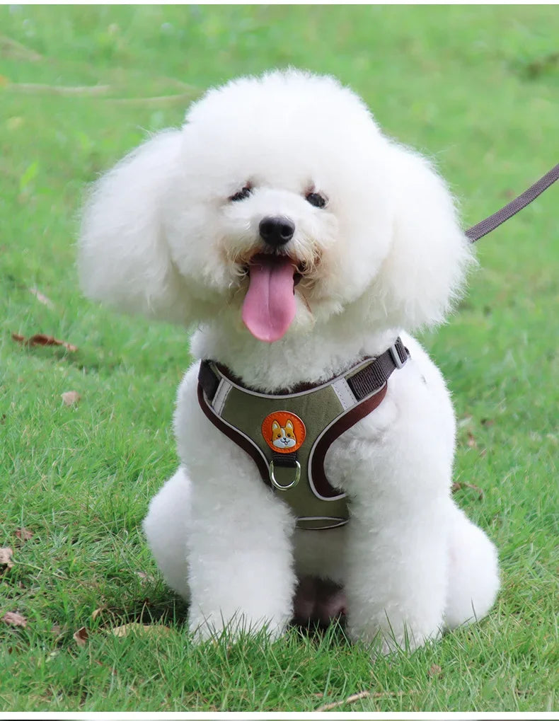 No Pull Pet Dog Harness and Leash Set Adjustable Puppy Cat Harness Vest Reflective Walking Lead Leash For Small Dogs Chihuahua
