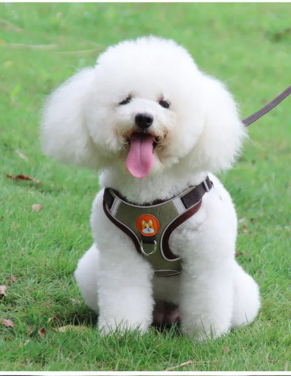 No Pull Pet Dog Harness and Leash Set Adjustable Puppy Cat Harness Vest Reflective Walking Lead Leash For Small Dogs Chihuahua