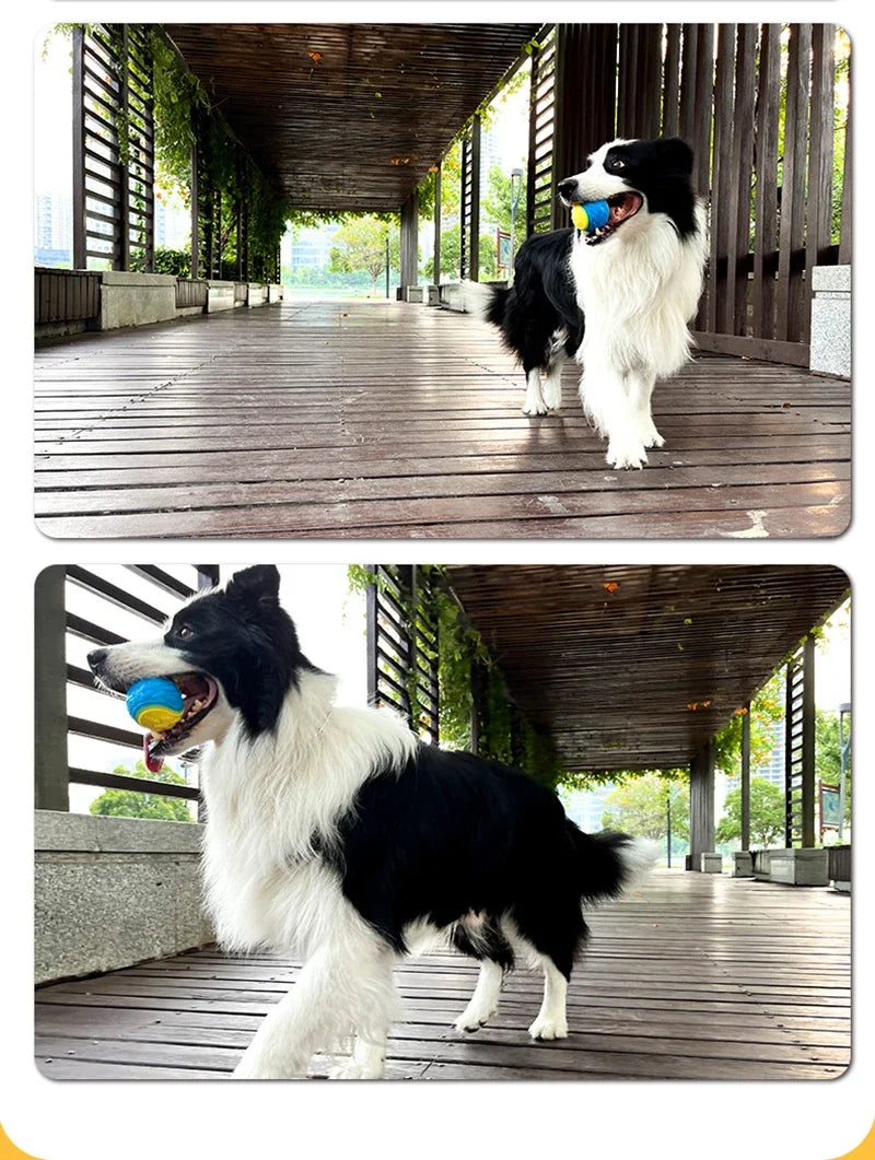 Dog Toys Soft TPR Toys for Dog Pet Teeth Cleaning Bite Resistance Squeaky Dog Ball Toy Dogs Interactive Toys