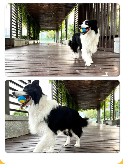 Dog Toys Soft TPR Toys for Dog Pet Teeth Cleaning Bite Resistance Squeaky Dog Ball Toy Dogs Interactive Toys