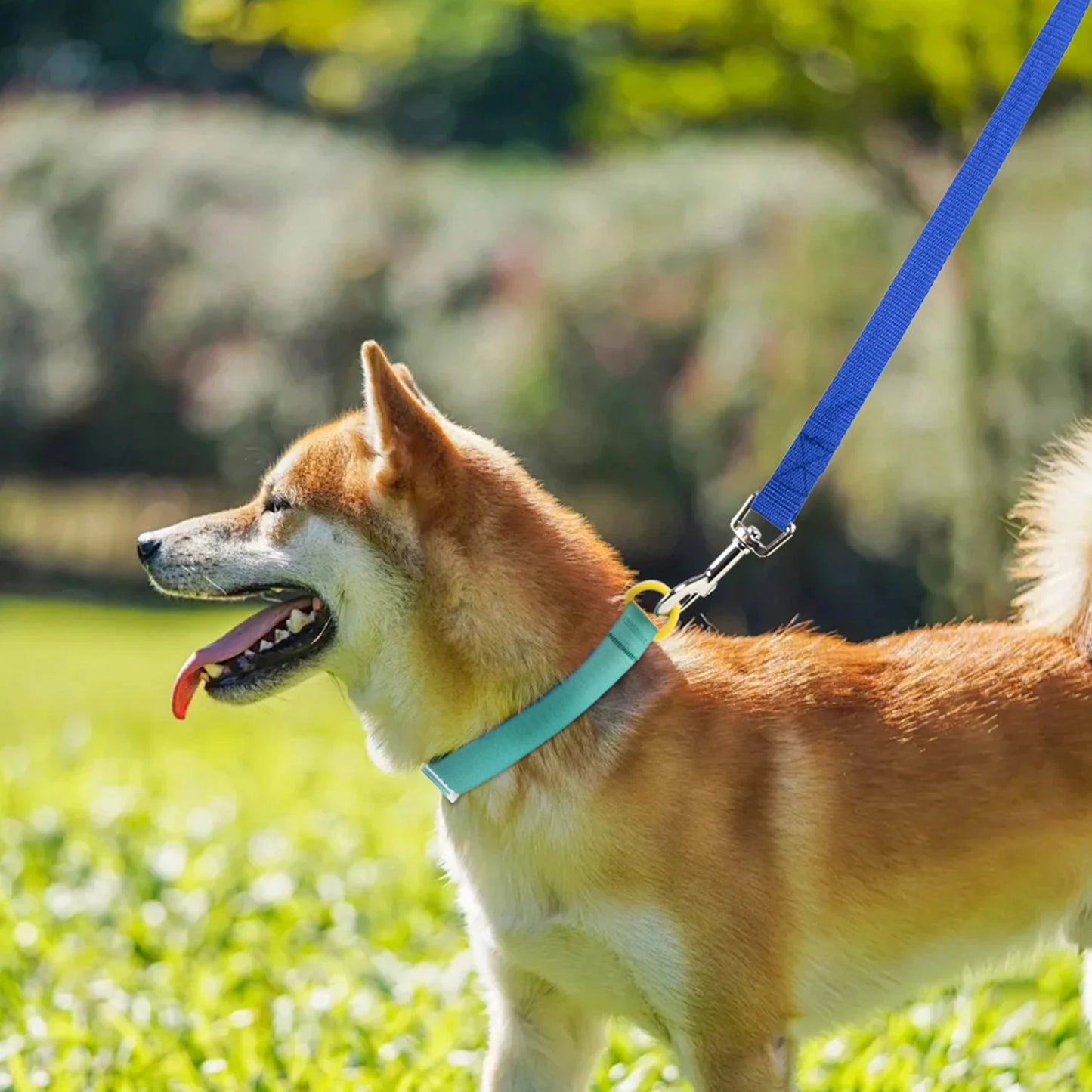 1.5M 3M 4.5M 6M 10M Nylon Dog Training Leashes Walking Pet Leash Long Lanyard Traction Rope for Small Large Dogs Lead Item