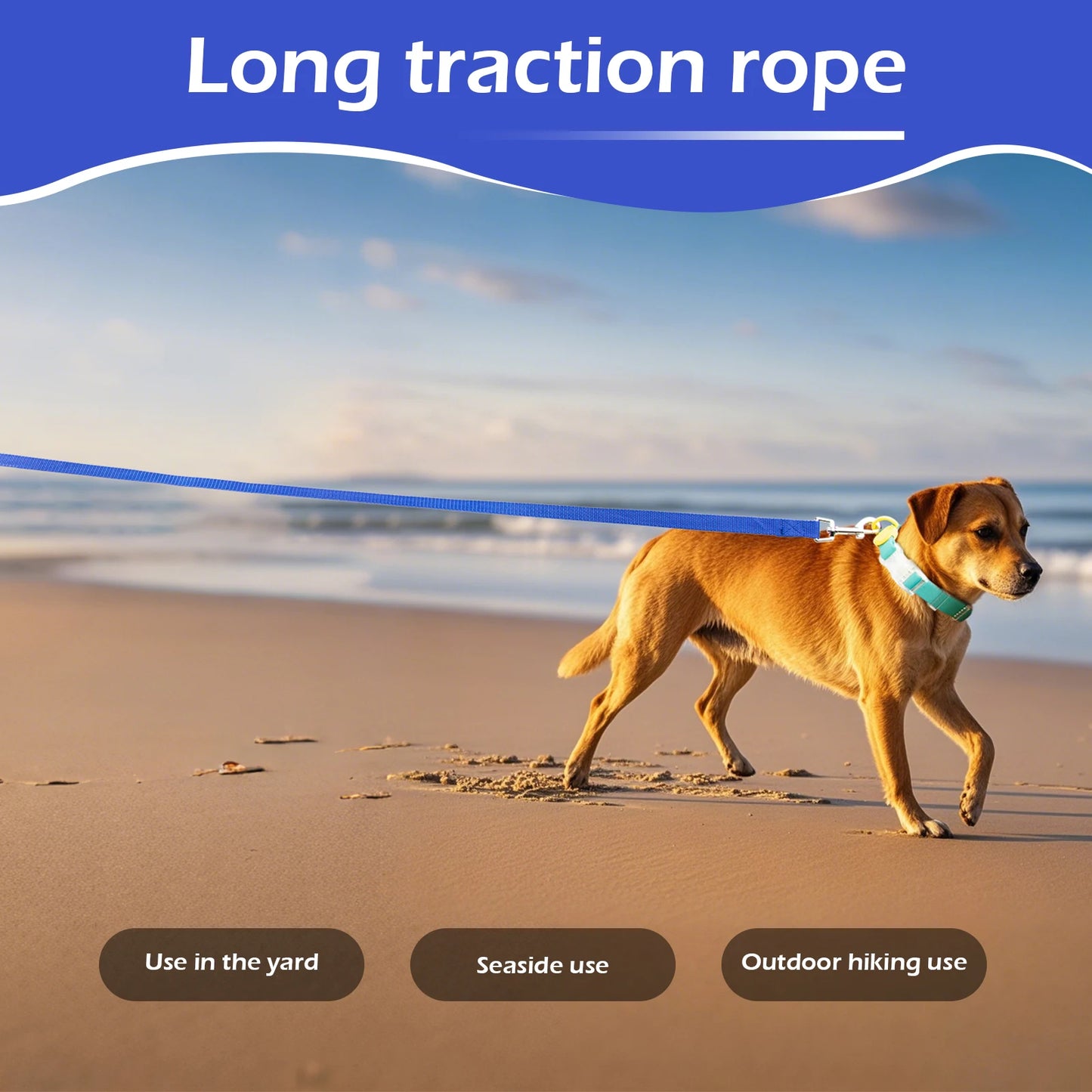 1.5M 3M 4.5M 6M 10M Nylon Dog Training Leashes Walking Pet Leash Long Lanyard Traction Rope for Small Large Dogs Lead Item